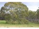 Lots 102 and 104 Eucalyptus Drive, Coulta SA 5607