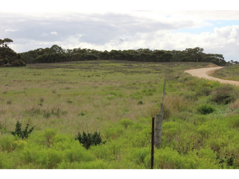 Lots 102 and 104 Eucalyptus Drive, Coulta SA 5607