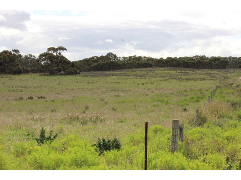 Lots 102 and 104 Eucalyptus Drive, Coulta SA 5607