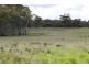 Lots 102 and 104 Eucalyptus Drive, Coulta SA 5607