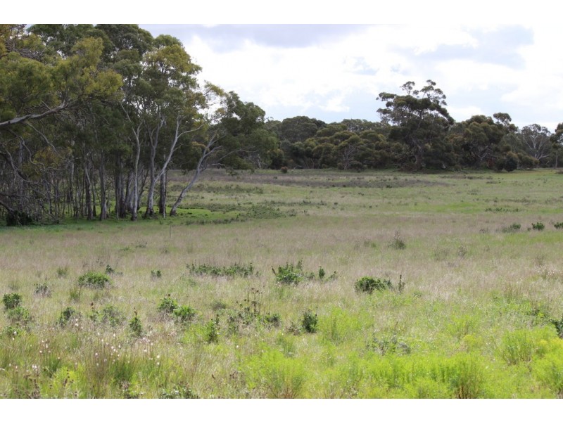 Lots 102 and 104 Eucalyptus Drive, Coulta SA 5607