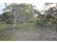 Lots 102 and 104 Eucalyptus Drive, Coulta SA 5607