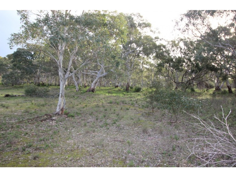 Lots 102 and 104 Eucalyptus Drive, Coulta SA 5607