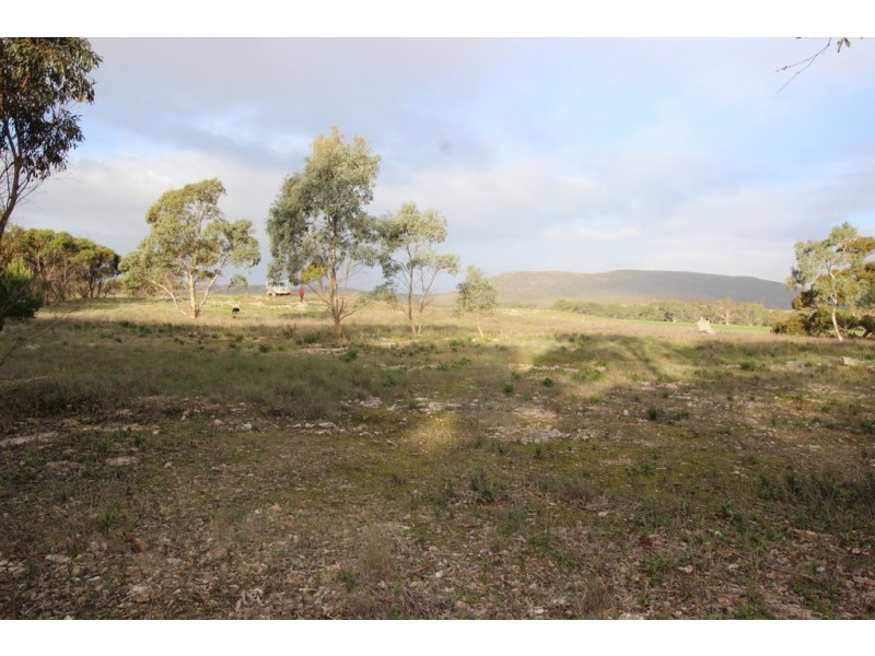 Lots 102 and 104 Eucalyptus Drive, Coulta SA 5607