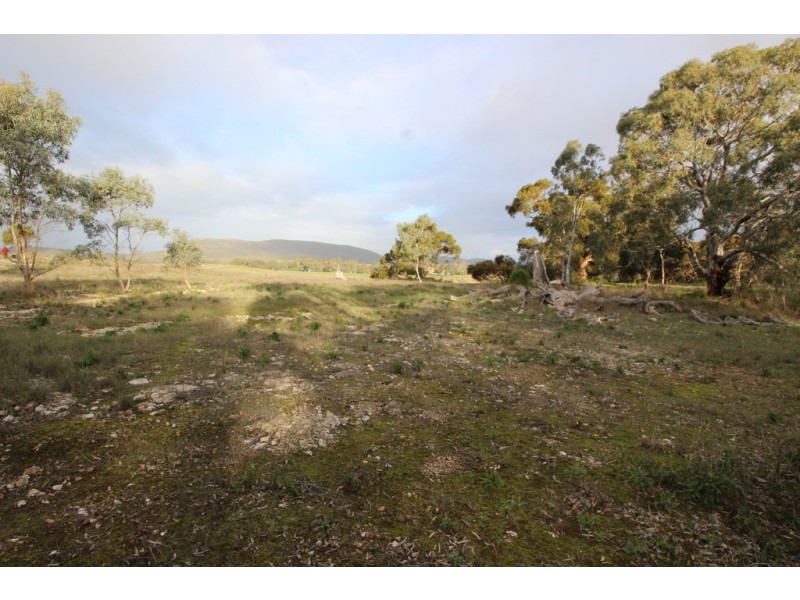 Lots 102 and 104 Eucalyptus Drive, Coulta SA 5607