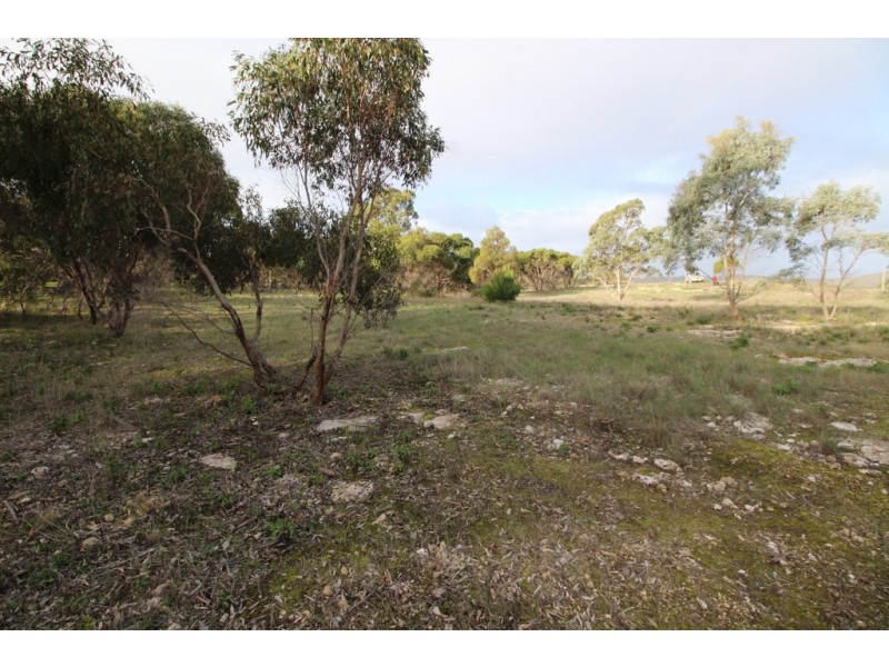 Lots 102 and 104 Eucalyptus Drive, Coulta SA 5607