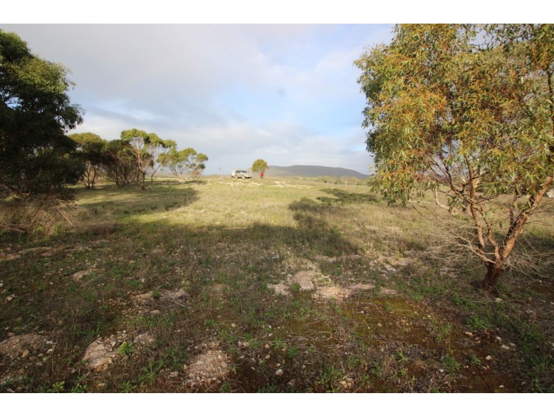Lots 102 and 104 Eucalyptus Drive, Coulta SA 5607