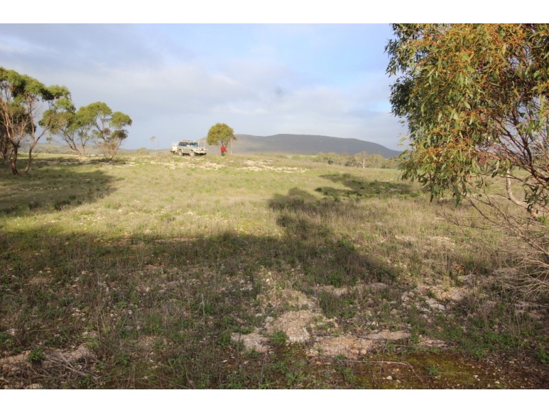 Lots 102 and 104 Eucalyptus Drive, Coulta SA 5607