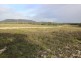 Lots 102 and 104 Eucalyptus Drive, Coulta SA 5607