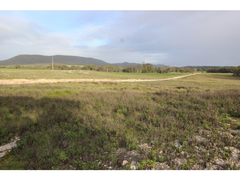 Lots 102 and 104 Eucalyptus Drive, Coulta SA 5607