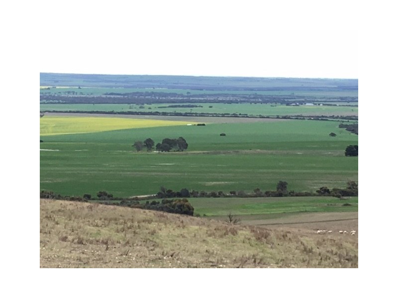 Lot 10 Hundred of, Wanilla SA 5607