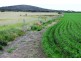 Lot 2 Frenchman Road, Coulta SA 5607