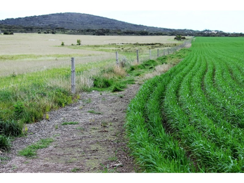 Lot 2 Frenchman Road, Coulta SA 5607