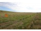 Lot 2 Frenchman Road, Coulta SA 5607