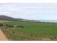 Lot 2 Frenchman Road, Coulta SA 5607