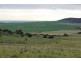 Lot 2 Frenchman Road, Coulta SA 5607