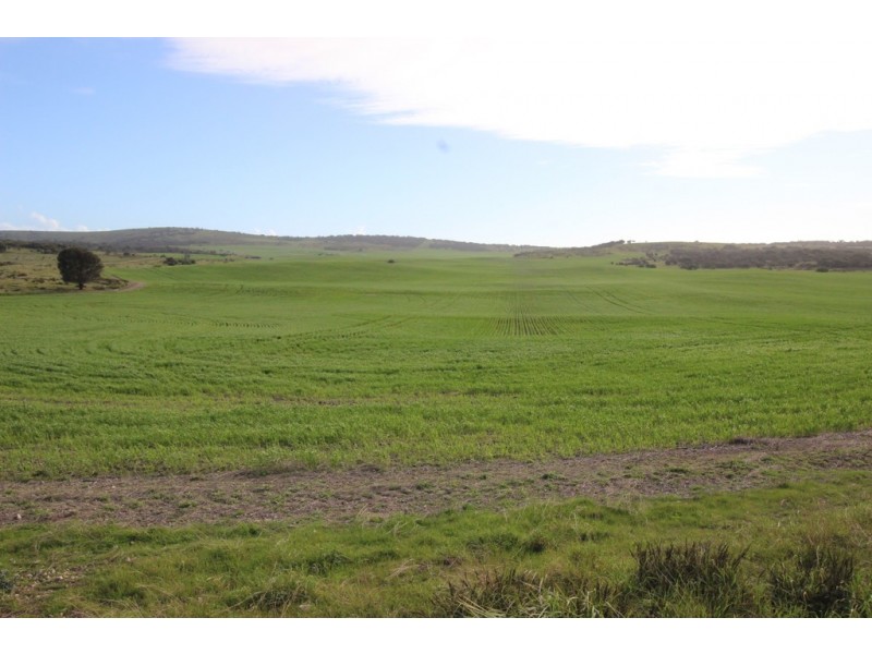 Lot 2 Frenchman Road, Coulta SA 5607