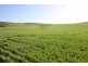 Lot 2 Frenchman Road, Coulta SA 5607