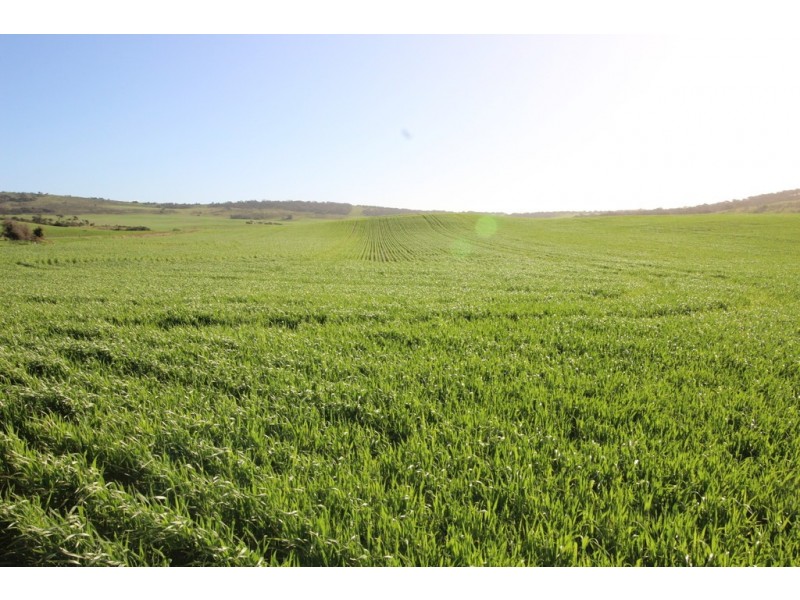 Lot 2 Frenchman Road, Coulta SA 5607