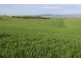Lot 2 Frenchman Road, Coulta SA 5607