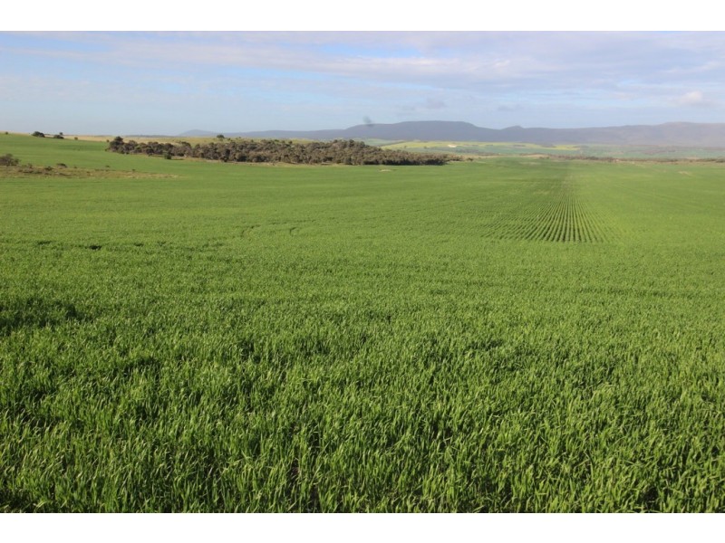 Lot 2 Frenchman Road, Coulta SA 5607
