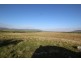 Lot 2 Frenchman Road, Coulta SA 5607