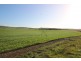 Lot 2 Frenchman Road, Coulta SA 5607