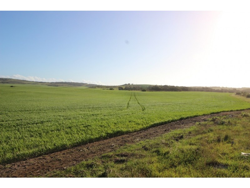 Lot 2 Frenchman Road, Coulta SA 5607