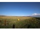Lot 2 Frenchman Road, Coulta SA 5607