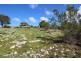 Lot 129 Sarah Court, Coffin Bay SA 5607