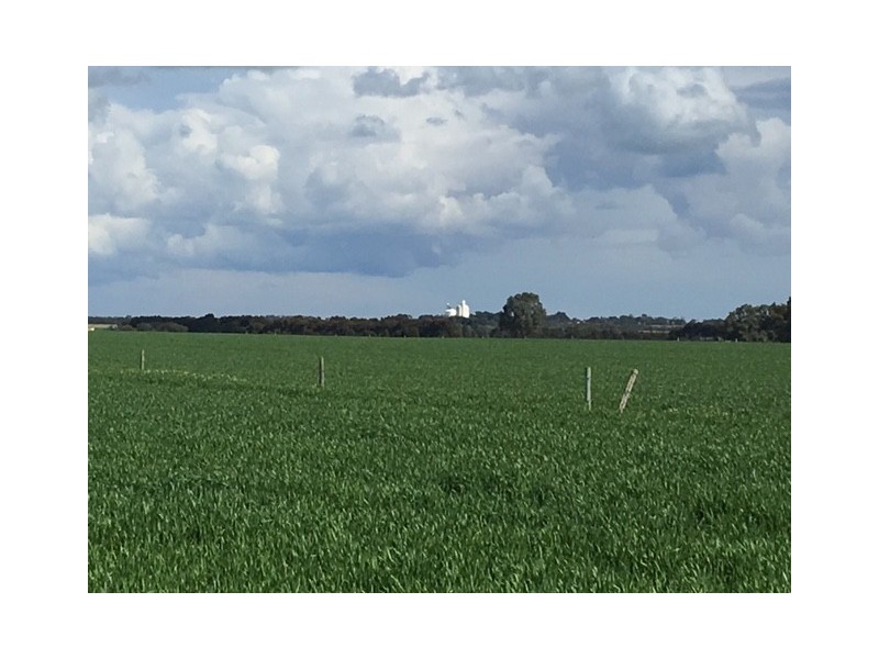 Section 31 Hundred of Mortlock, Cummins SA 5631