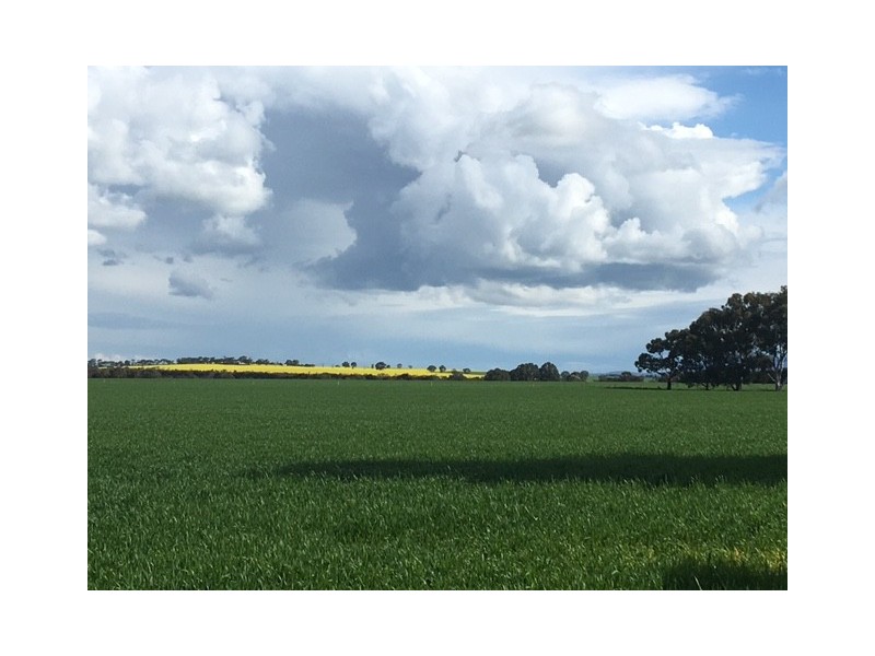 Section 31 Hundred of Mortlock, Cummins SA 5631