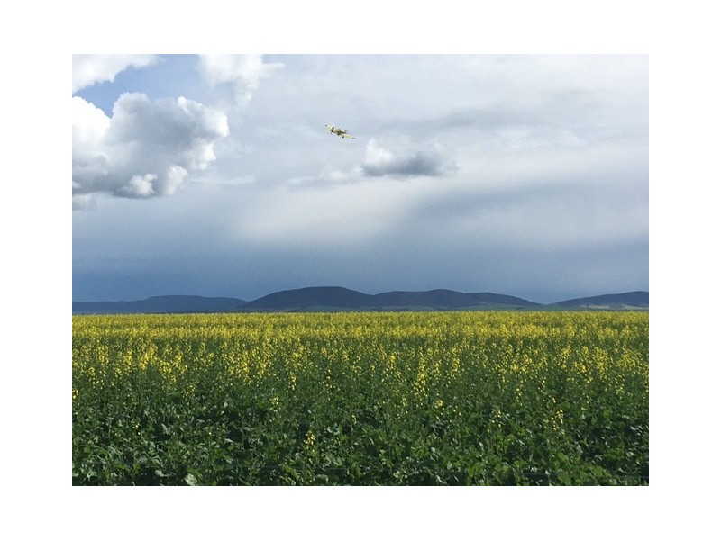 Section 31 Hundred of Mortlock, Cummins SA 5631