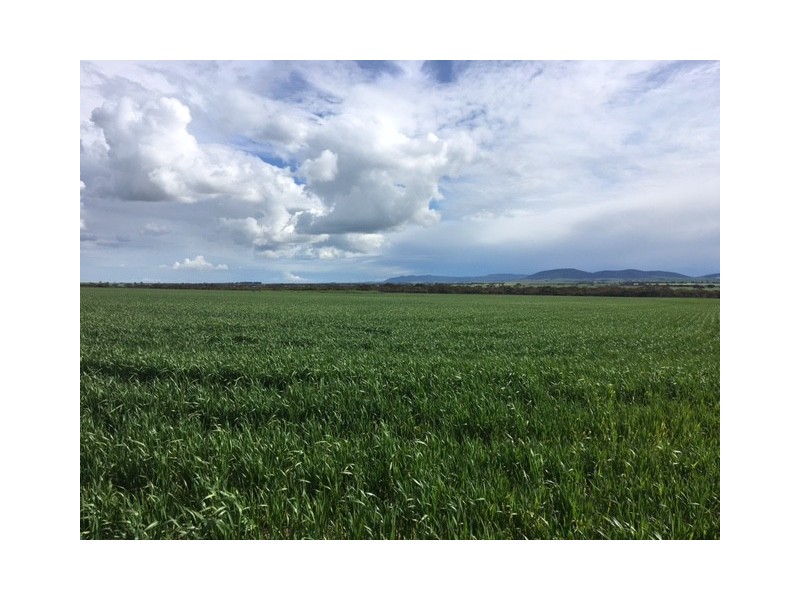 Section 31 Hundred of Mortlock, Cummins SA 5631