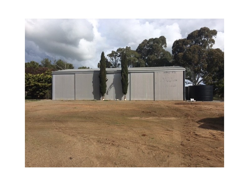 Section 31 Hundred of Mortlock, Cummins SA 5631