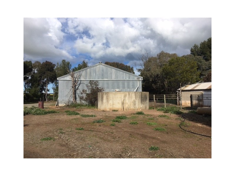 Section 31 Hundred of Mortlock, Cummins SA 5631