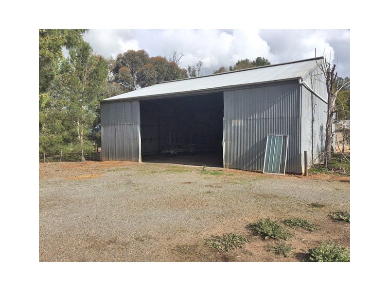 Section 31 Hundred of Mortlock, Cummins SA 5631