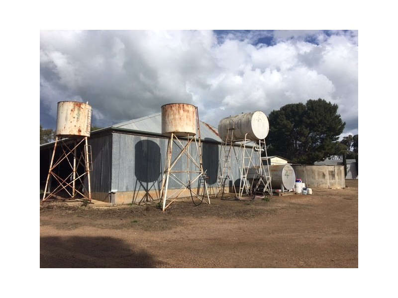 Section 31 Hundred of Mortlock, Cummins SA 5631