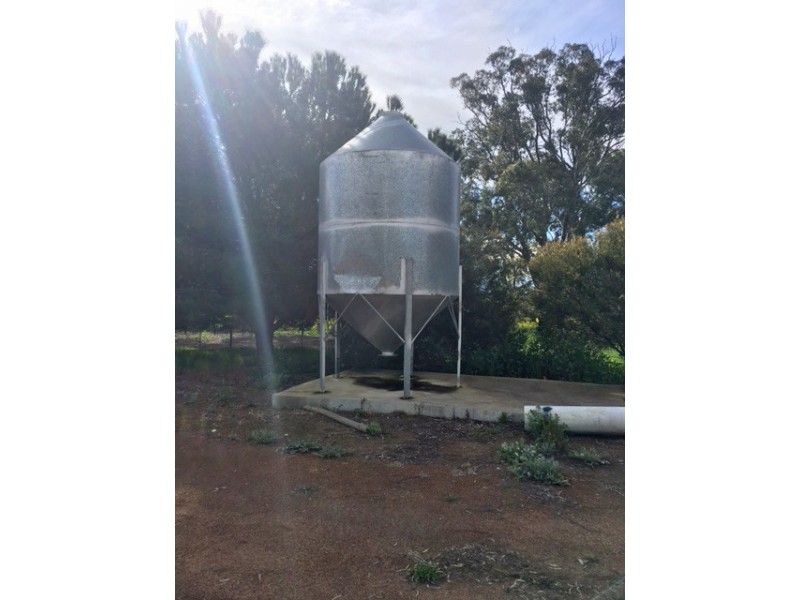 Section 31 Hundred of Mortlock, Cummins SA 5631