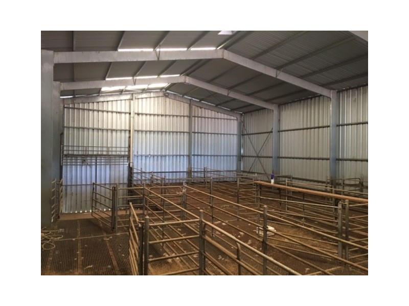 Section 31 Hundred of Mortlock, Cummins SA 5631