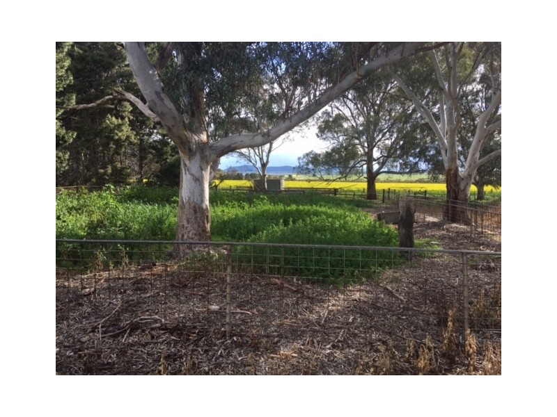 Section 31 Hundred of Mortlock, Cummins SA 5631