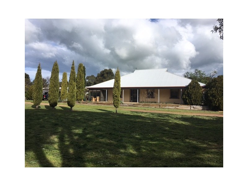 Section 31 Hundred of Mortlock, Cummins SA 5631