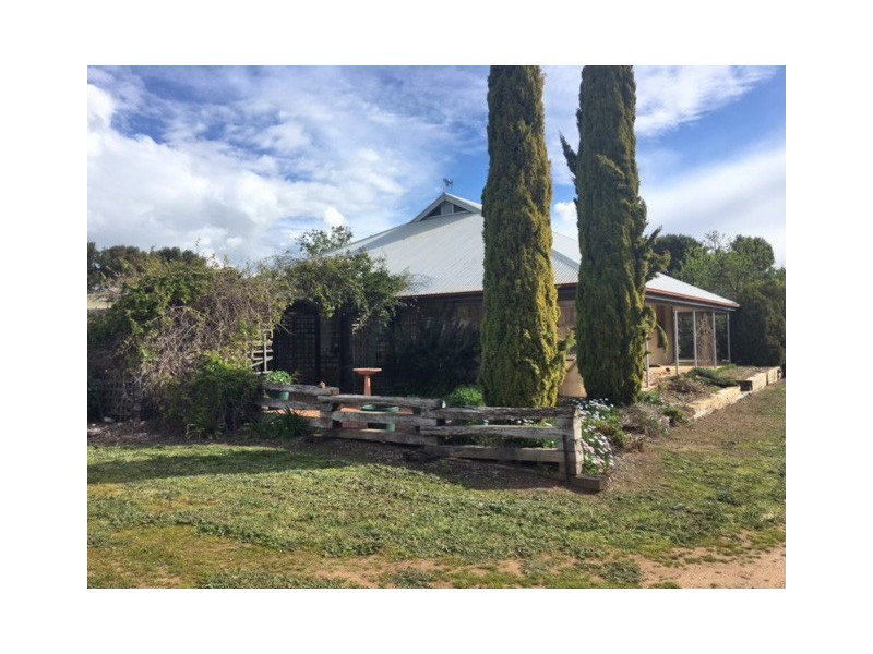 Section 31 Hundred of Mortlock, Cummins SA 5631