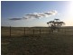 148 Stevens Road, “Talajem Springs”, Yallunda Flat SA 5607
