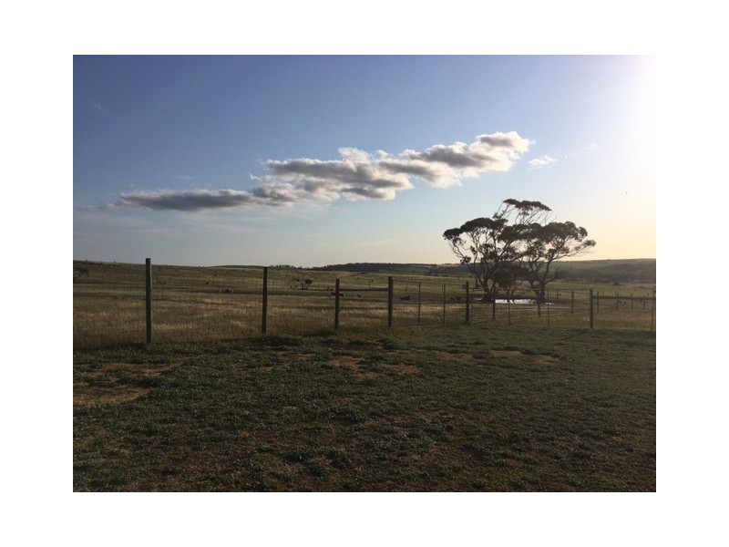 148 Stevens Road, “Talajem Springs”, Yallunda Flat SA 5607