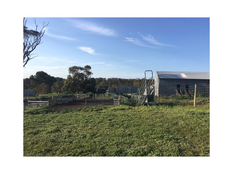 148 Stevens Road, “Talajem Springs”, Yallunda Flat SA 5607