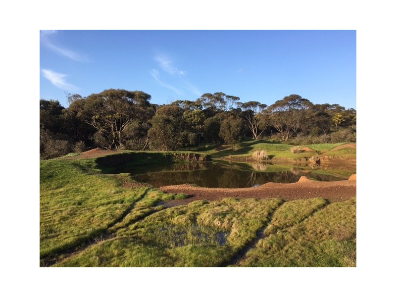 148 Stevens Road, “Talajem Springs”, Yallunda Flat SA 5607