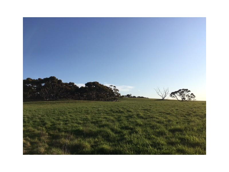 148 Stevens Road, “Talajem Springs”, Yallunda Flat SA 5607