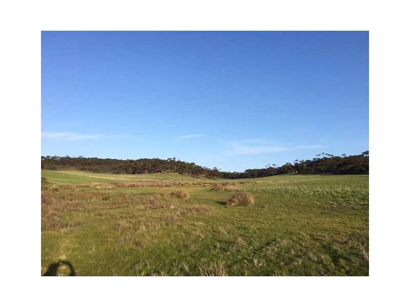 148 Stevens Road, “Talajem Springs”, Yallunda Flat SA 5607