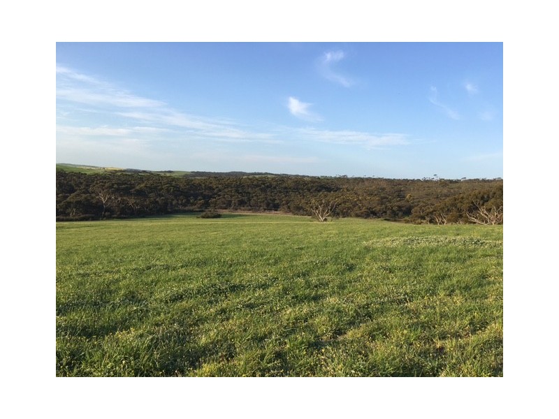 148 Stevens Road, “Talajem Springs”, Yallunda Flat SA 5607